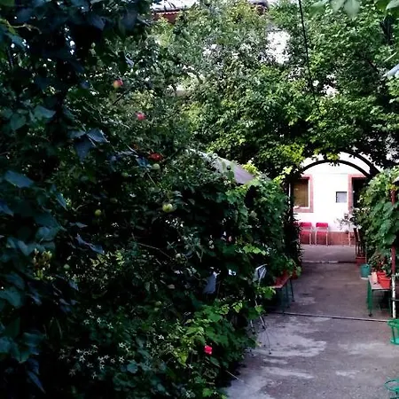 Casa Din Gradina *