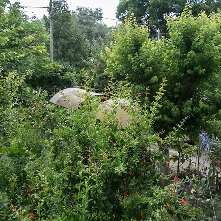 Casa Din Gradina Eforie Sud (Constanta)