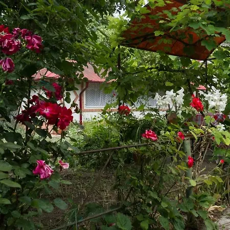 Casa Din Gradina * Eforie Sud (Constanta)