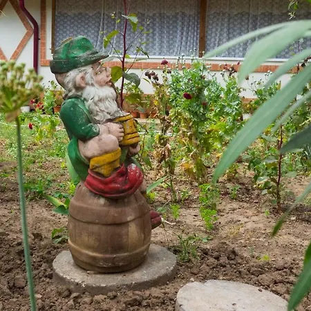 Pensiune agroturistice Casa Din Gradina