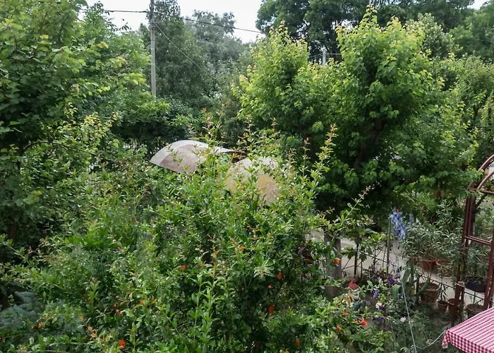 Casa Din Gradina Eforie Sud (Constanta)