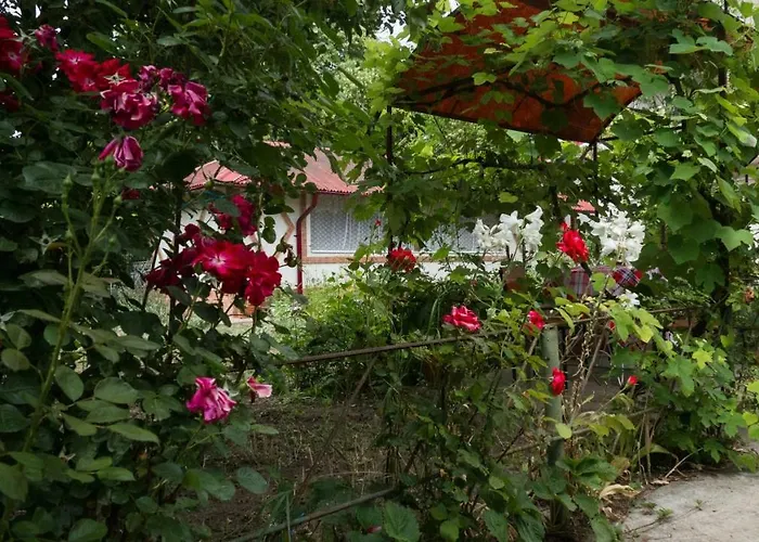 Casa Din Gradina * Eforie Sud (Constanta)