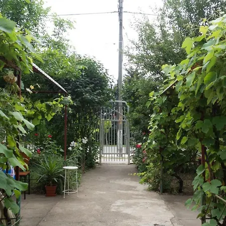 Casa Din Gradina *