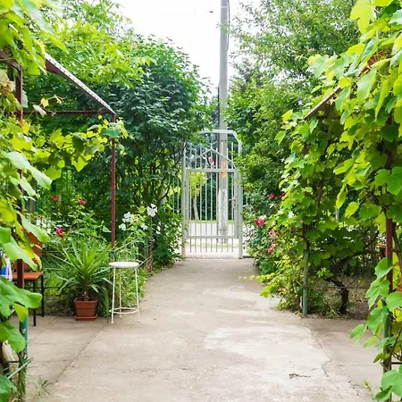 Casa Din Gradina * エフォリエ・スド